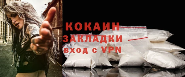 крисы Абаза