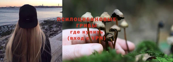 крисы Абаза