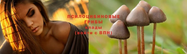соль курить ск Абинск