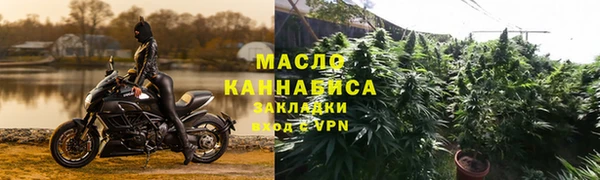 крисы Абаза